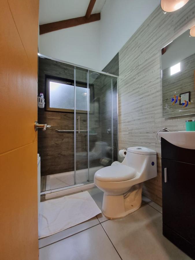 Hostel Torobayo Valdivia Dış mekan fotoğraf