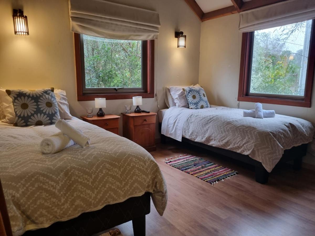 Hostel Torobayo Valdivia Dış mekan fotoğraf