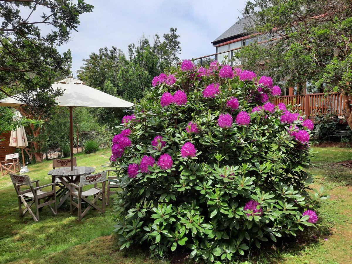Hostel Torobayo Valdivia Dış mekan fotoğraf