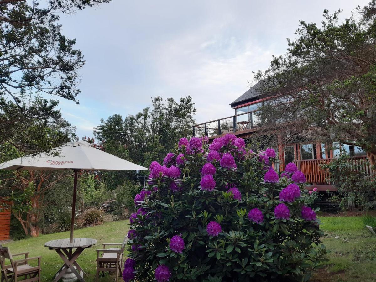 Hostel Torobayo Valdivia Dış mekan fotoğraf